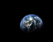 images_203